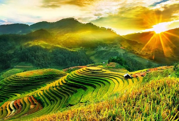 Tour Mù Cang Chải mùa lúa chín 2N1Đ 