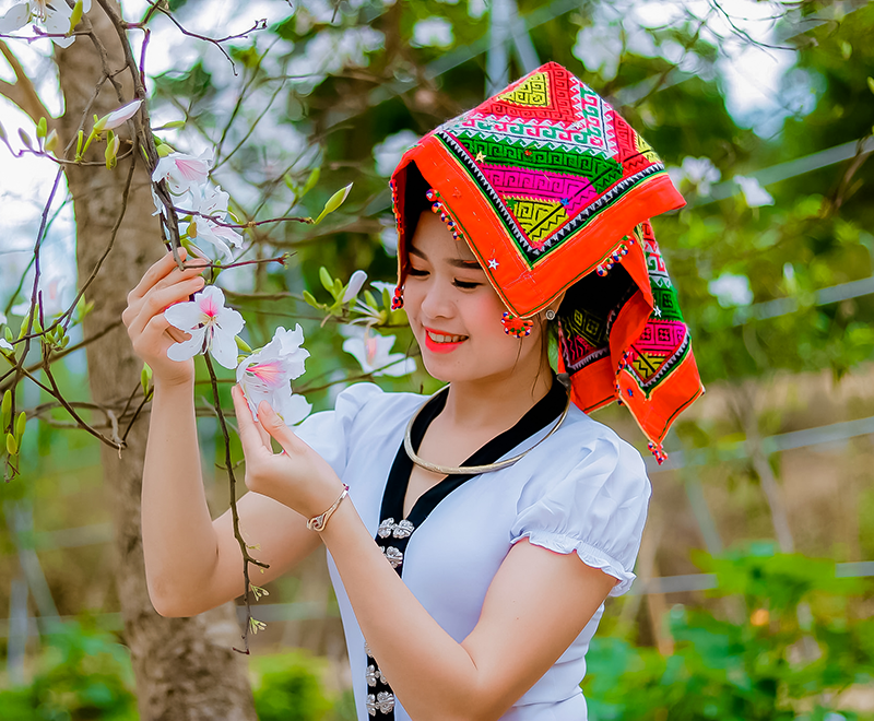 Điện Biên