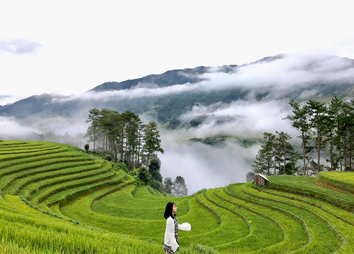 Tour Hà Nội - Mù Cang Chải  - Sapa mùa lúa chín