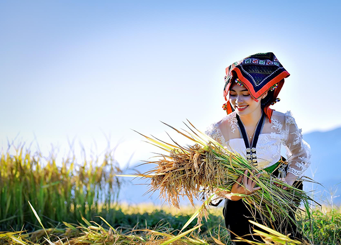 Tour Mù Cang Chải - Ngọc Chiến - Tà Xùa mùa lúa chín 